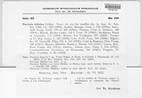 Puccinia recondita image